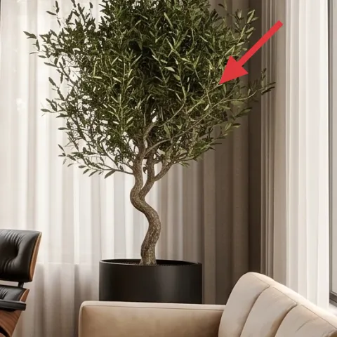 tall potted tree in dark planter