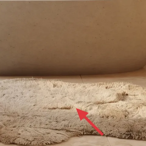 area rug