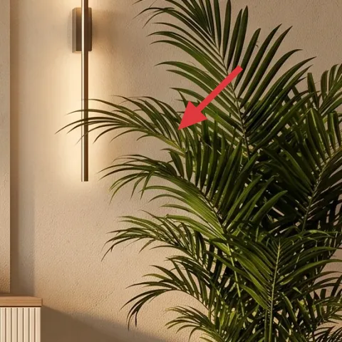 potted palm plant