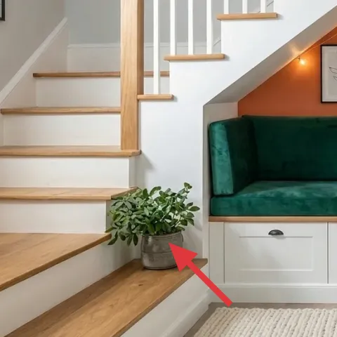 potted plant on the staircase landing