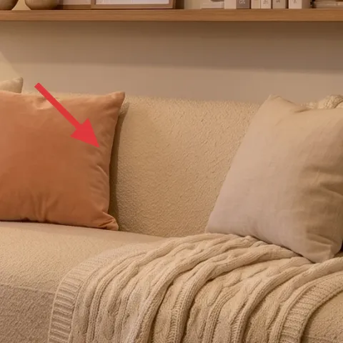 decorative throw pillows on sofa
