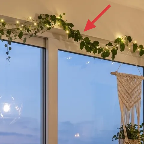 string lights on window and greenery