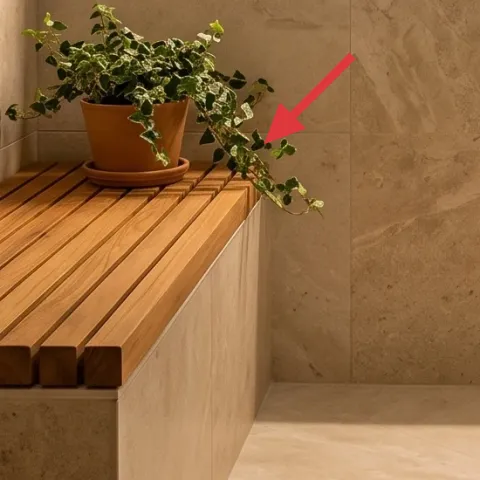 Terracotta plant pot + green houseplant