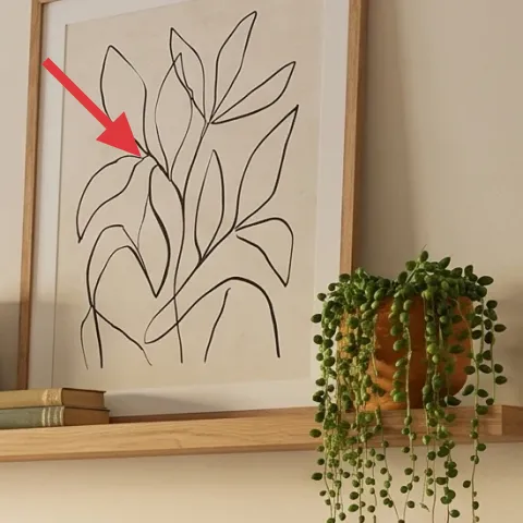 framed botanical line art print