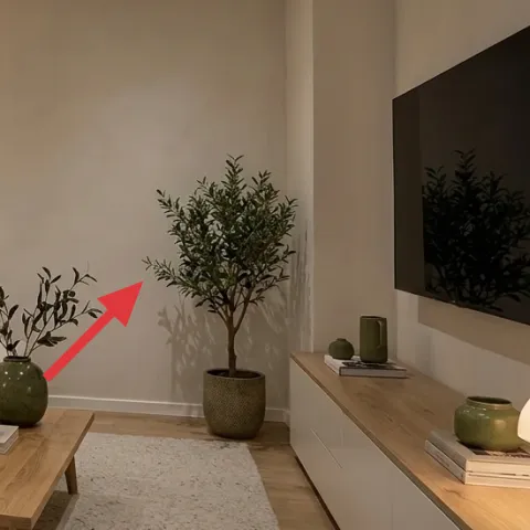 potted tree in a gray planter