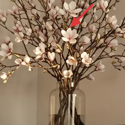 large glass vase with flowering branch arrangement