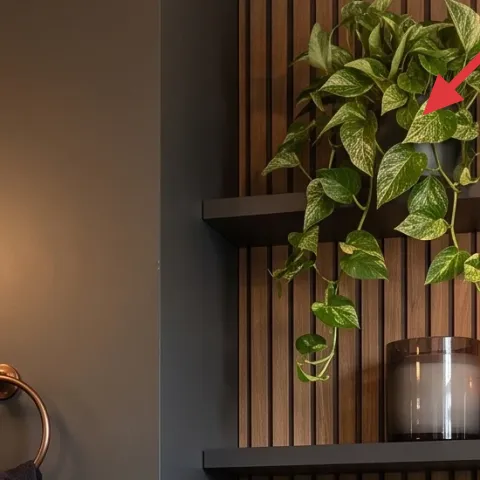 Green plant in metal bowl on shelf