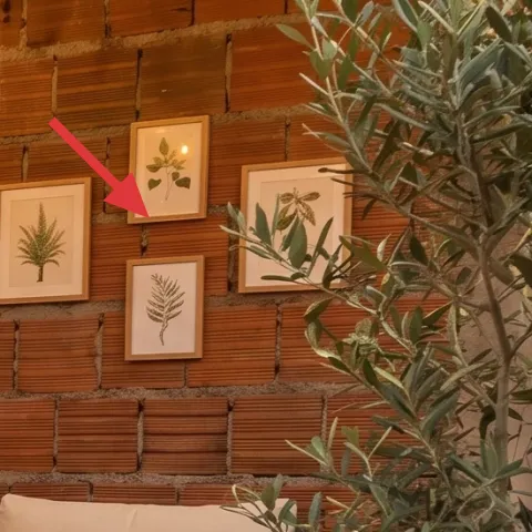 framed botanical prints set