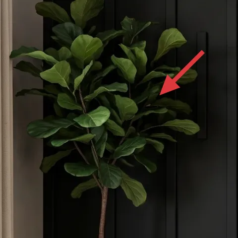 tall leafy potted plant
