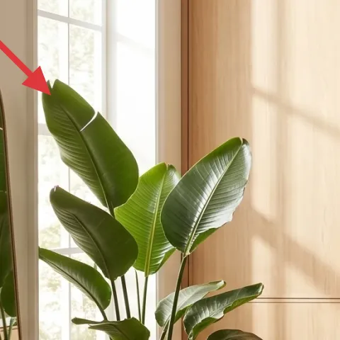 leaning floor mirror